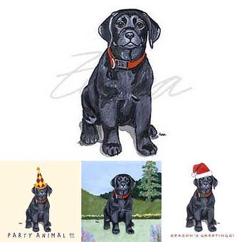 Product - Zeppa Studios, in Pearisburg, VA Misc Photographers