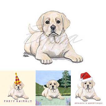 Product - Zeppa Studios, in Pearisburg, VA Misc Photographers