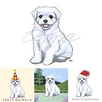 Product - Zeppa Studios, in Pearisburg, VA Misc Photographers