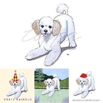 Product - Zeppa Studios, in Pearisburg, VA Misc Photographers