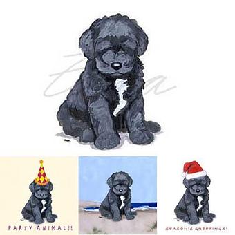 Product - Zeppa Studios, in Pearisburg, VA Misc Photographers