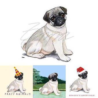 Product - Zeppa Studios, in Pearisburg, VA Misc Photographers