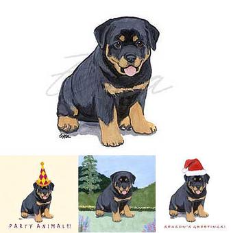 Product - Zeppa Studios, in Pearisburg, VA Misc Photographers