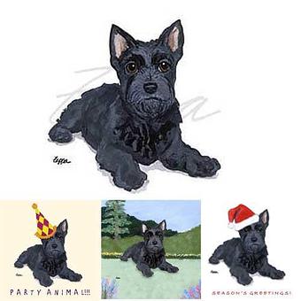 Product - Zeppa Studios, in Pearisburg, VA Misc Photographers