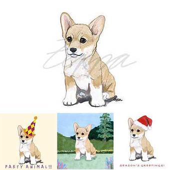 Product - Zeppa Studios, in Pearisburg, VA Misc Photographers