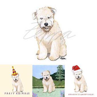 Product - Zeppa Studios, in Pearisburg, VA Misc Photographers