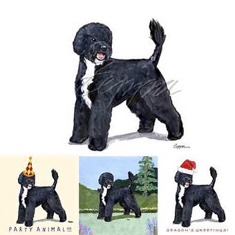 Product - Zeppa Studios, in Pearisburg, VA Misc Photographers