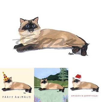 Product - Zeppa Studios, in Pearisburg, VA Misc Photographers