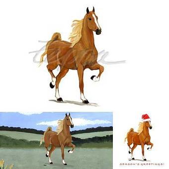 Product - Zeppa Studios, in Pearisburg, VA Misc Photographers