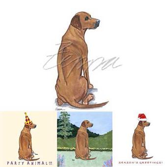 Product - Zeppa Studios, in Pearisburg, VA Misc Photographers