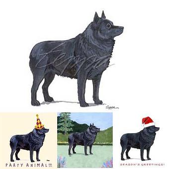 Product - Zeppa Studios, in Pearisburg, VA Misc Photographers