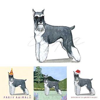 Product - Zeppa Studios, in Pearisburg, VA Misc Photographers