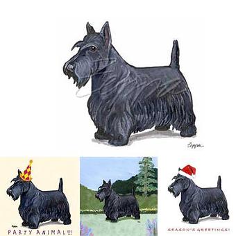 Product - Zeppa Studios, in Pearisburg, VA Misc Photographers