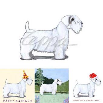 Product - Zeppa Studios, in Pearisburg, VA Misc Photographers