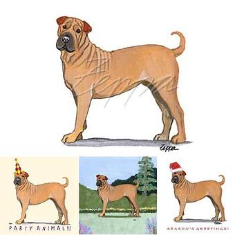 Product - Zeppa Studios, in Pearisburg, VA Misc Photographers