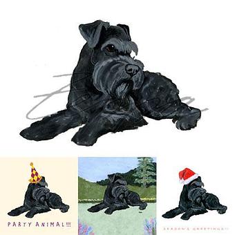 Product - Zeppa Studios, in Pearisburg, VA Misc Photographers