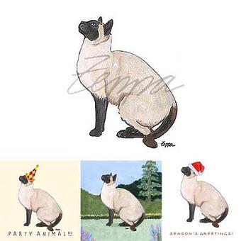 Product - Zeppa Studios, in Pearisburg, VA Misc Photographers