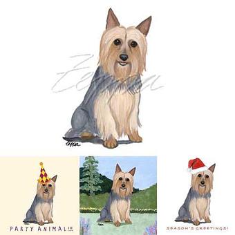 Product - Zeppa Studios, in Pearisburg, VA Misc Photographers