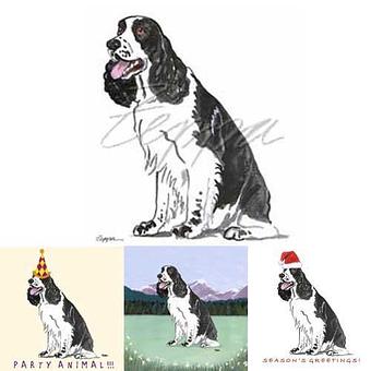 Product - Zeppa Studios, in Pearisburg, VA Misc Photographers