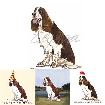 Product - Zeppa Studios, in Pearisburg, VA Misc Photographers