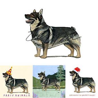 Product - Zeppa Studios, in Pearisburg, VA Misc Photographers