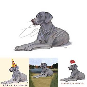 Product - Zeppa Studios, in Pearisburg, VA Misc Photographers