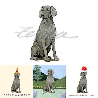 Product - Zeppa Studios, in Pearisburg, VA Misc Photographers