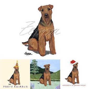 Product - Zeppa Studios, in Pearisburg, VA Misc Photographers