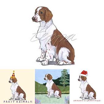 Product - Zeppa Studios, in Pearisburg, VA Misc Photographers