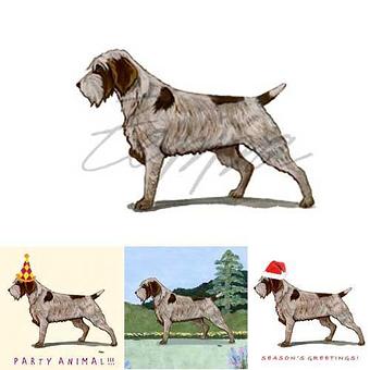 Product - Zeppa Studios, in Pearisburg, VA Misc Photographers