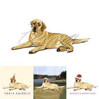 Product - Zeppa Studios, in Pearisburg, VA Misc Photographers