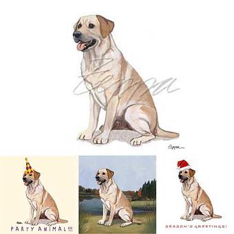 Product - Zeppa Studios, in Pearisburg, VA Misc Photographers