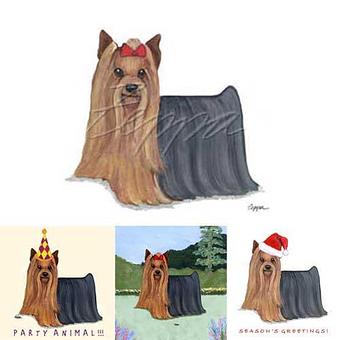 Product - Zeppa Studios, in Pearisburg, VA Misc Photographers