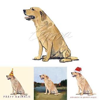 Product - Zeppa Studios, in Pearisburg, VA Misc Photographers