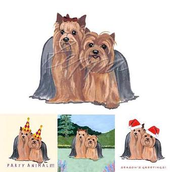 Product - Zeppa Studios, in Pearisburg, VA Misc Photographers