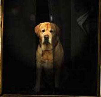 Product - Zeppa Studios, in Pearisburg, VA Misc Photographers