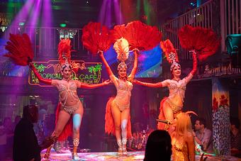 Product - Mango's Tropical Cafe in Miami Beach, FL American Restaurants