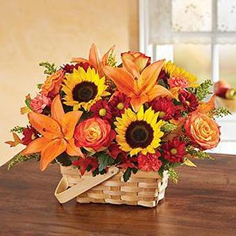 Product - 1-800-Flowers Fairfax LFC FL-544 DNC in Fairfax, VA Florists