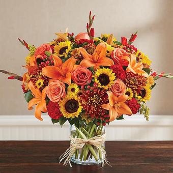 Product - 1-800-Flowers Fairfax LFC FL-544 DNC in Fairfax, VA Florists