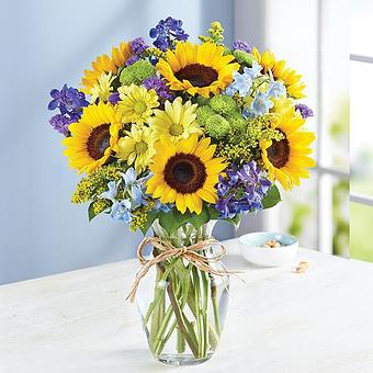 Product - 1800Flowers Houston in HOUSTON, TX Shopping & Shopping Services