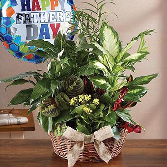 Product - 1800Flowers Sterling Heights in STERLING HEIGHTS, MI Shopping & Shopping Services