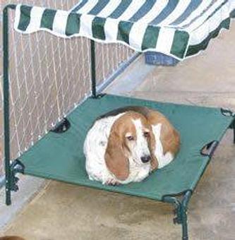Product - A Pet Villa in Santa Clara, CA Hotels & Motels