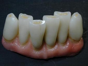 Product - Aesthetic Dsign in Tampa, FL Health & Medical