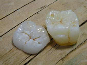 Product - Aesthetic Dsign in Tampa, FL Health & Medical