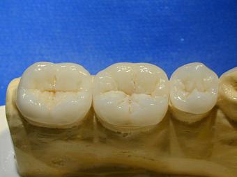 Product - Aesthetic Dsign in Tampa, FL Health & Medical