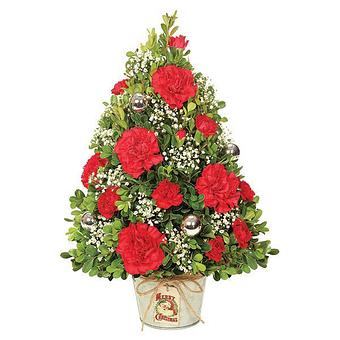 Product - All Occasion Florist P in Hoboken, NJ Florists