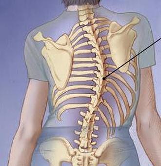 Product - Alternative Therapy in Braden Woods - Bradenton, FL Alternative Medicine