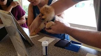 Product - Animal Hospital of West Port St. Lucie in Port Saint Lucie, FL Animal Hospitals