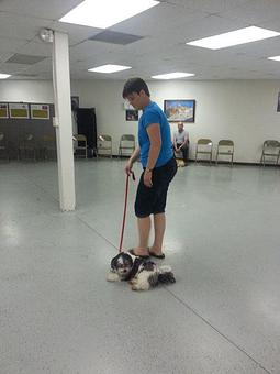 Product - Animal Training & Development in Fort Wayne, IN Animal Training