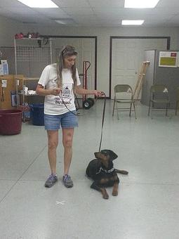 Product - Animal Training & Development in Fort Wayne, IN Animal Training
